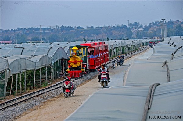 轨道火车,大荔号轨道观光火车