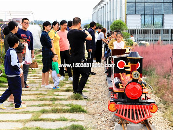 观光小火车,轨道观光小火车厂家,大型轨道观光小火车价格