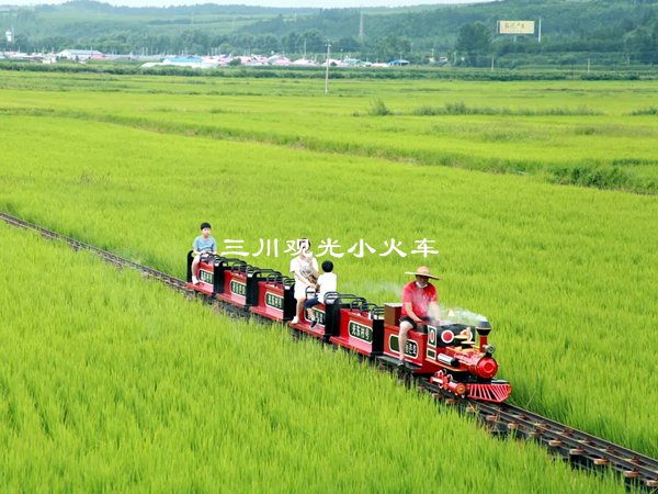 轨道火车,稻田小火车厂家,光东村稻田观光小火车造价