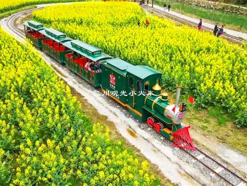 花海赏景搭乘有轨观光小火车轻松拓宽观景视野