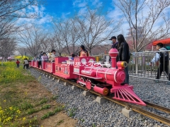 乘搭小型铁路火车时应注意的事项