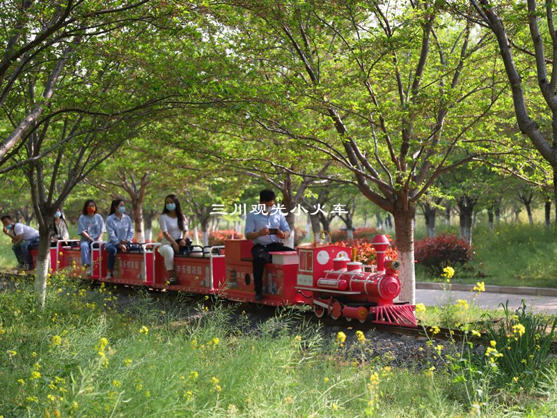 观光火车,景区小火车厂家,旅游观光小火车使用场景