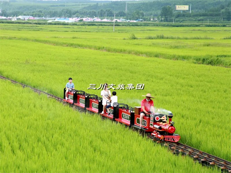 探秘农庄花海：穿越稻田，乘坐蒸汽小火车的唯美旅程