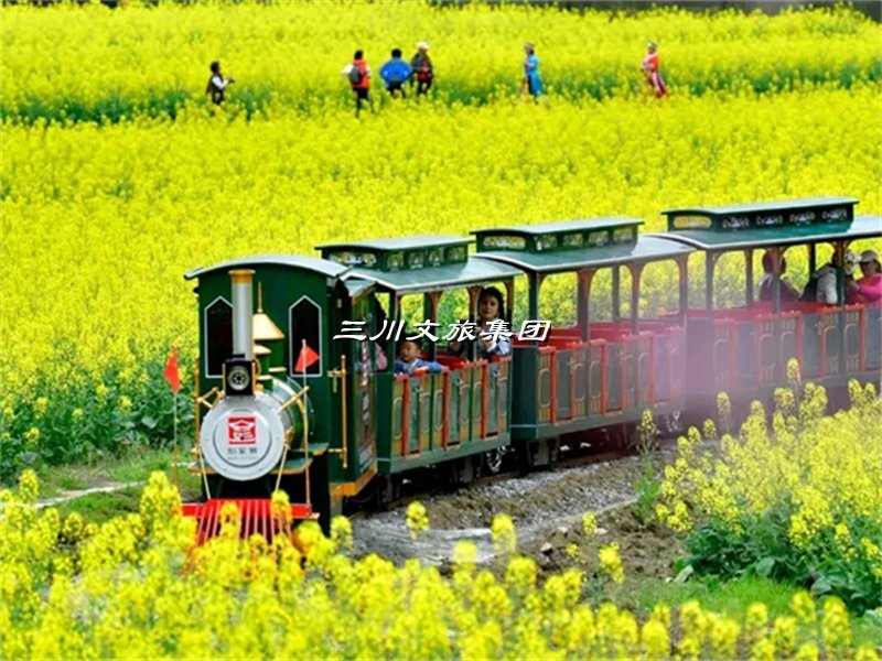 乡村花园农场观光小火车：开启田园风光之旅